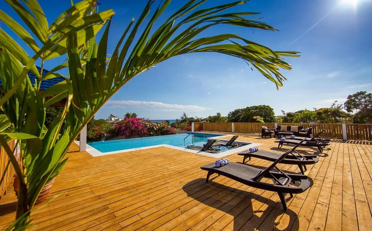 Butterfly Hill Villa & Studio Apartment Jamaica
