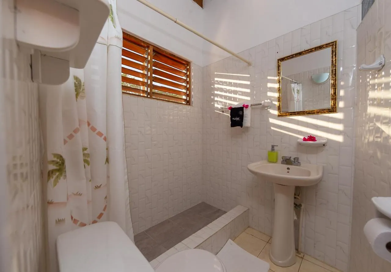 Butterfly Hill Villa & Studio Apartment 0*, Treasure Beach