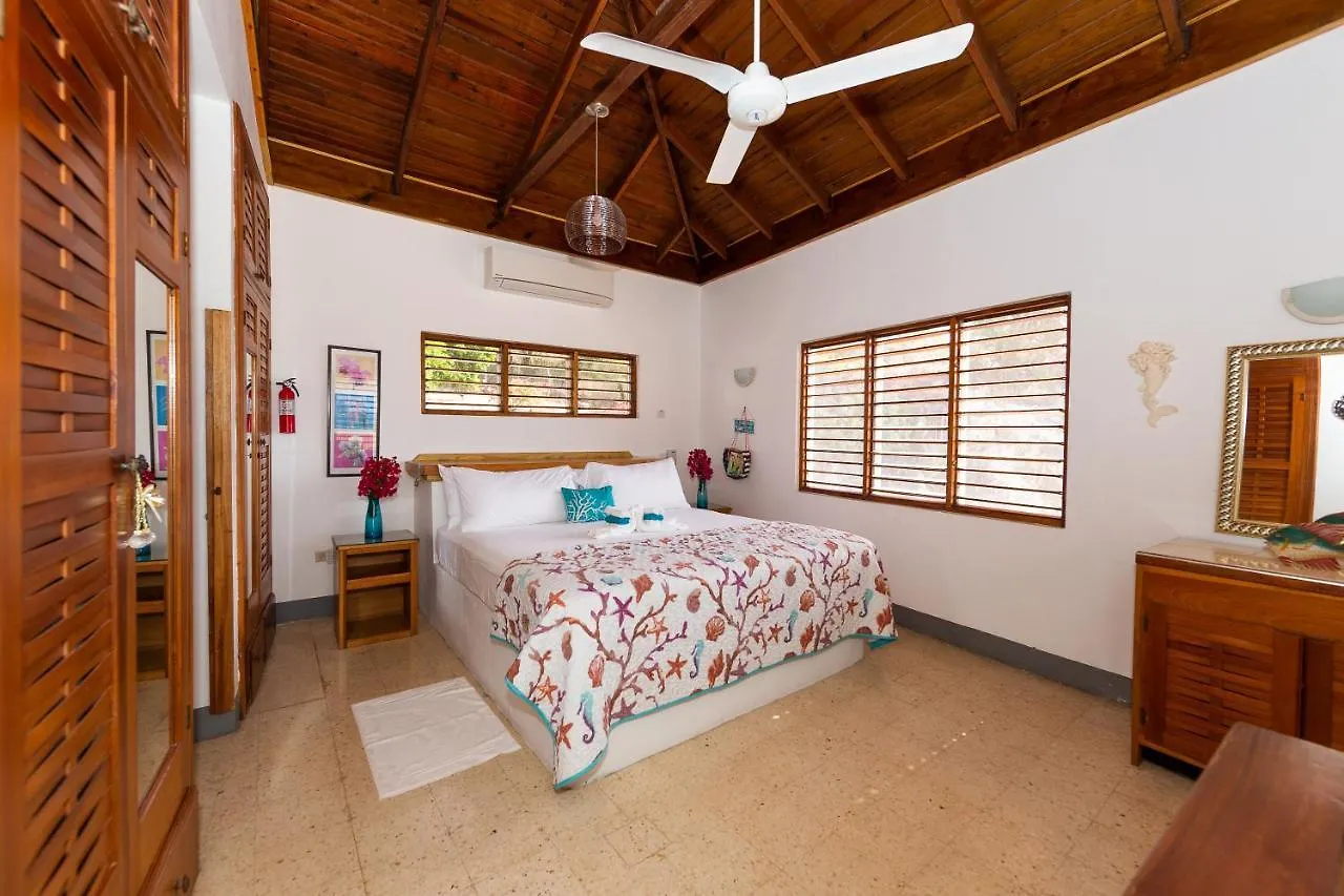 Butterfly Hill Villa & Studio Apartment Jamaica