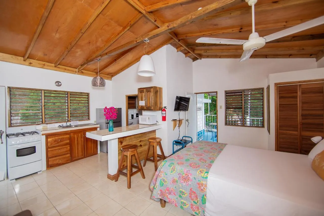 Butterfly Hill Villa & Studio Apartment