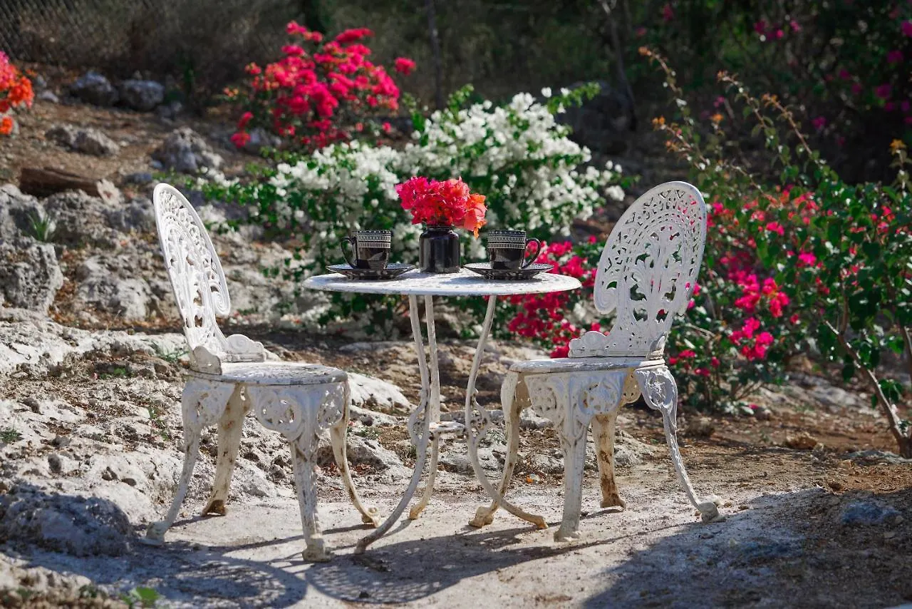 Butterfly Hill Villa & Studio Apartment