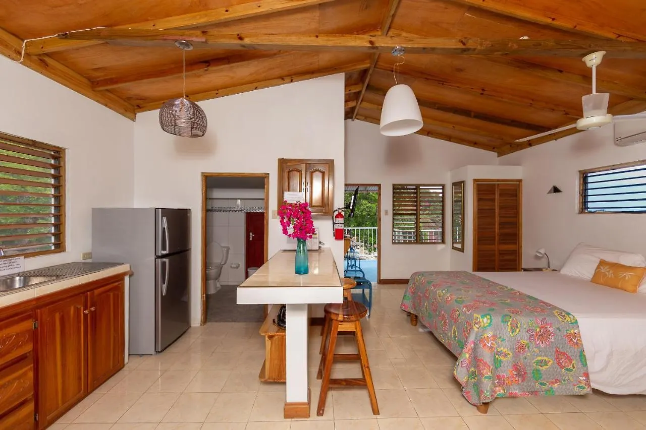 Butterfly Hill Villa & Studio Apartment 0*, Treasure Beach