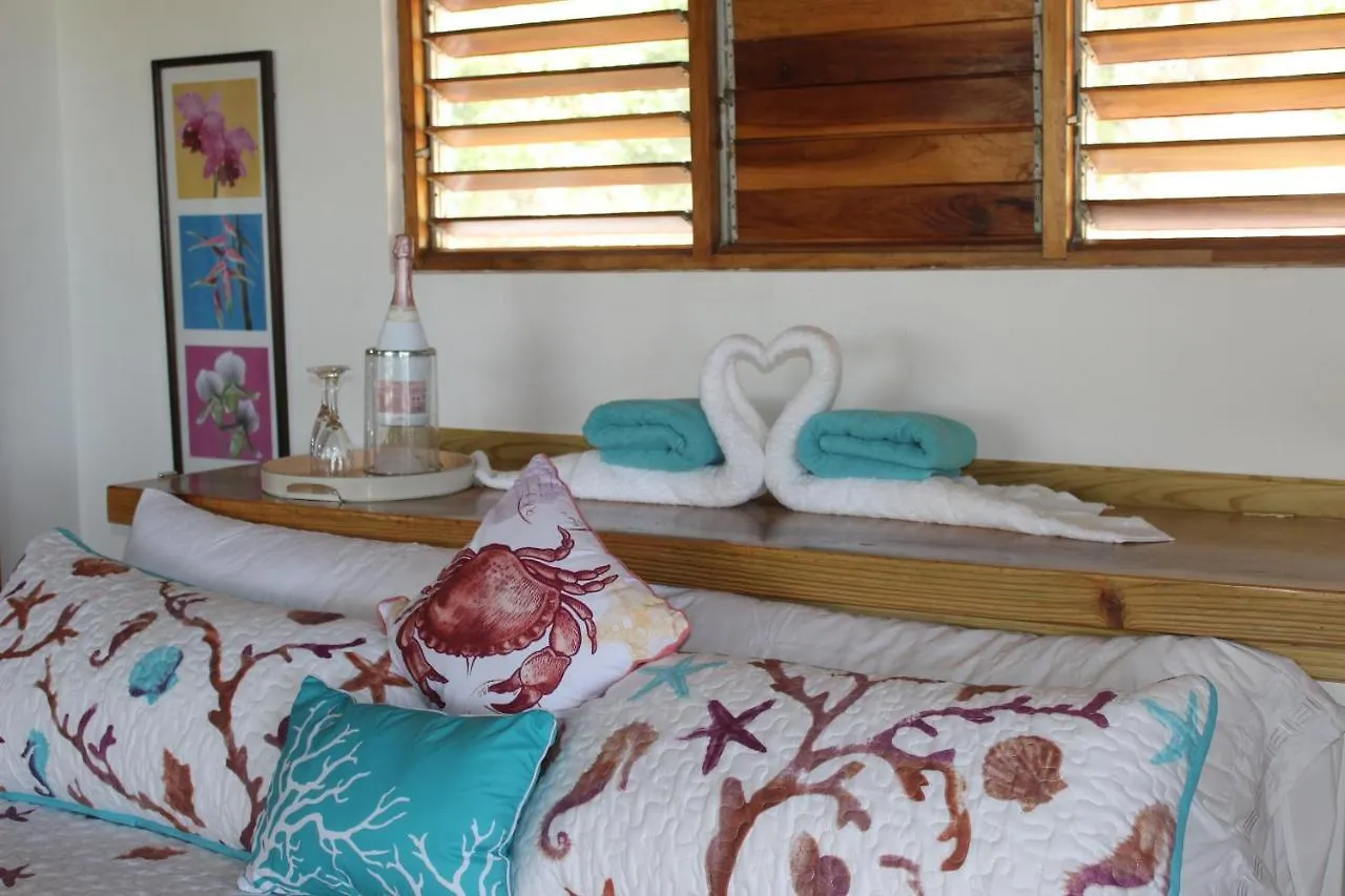 Butterfly Hill Villa & Studio Apartment Jamaica