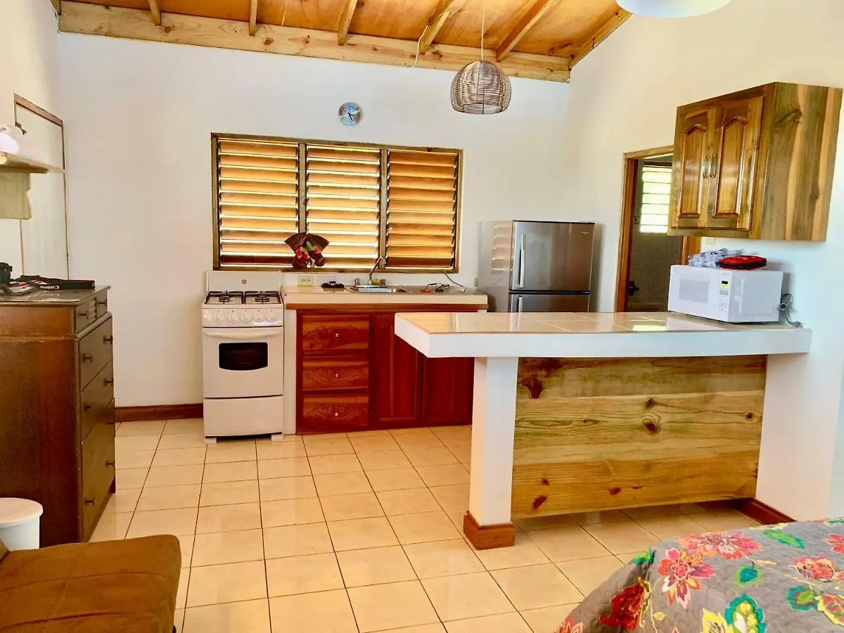 Butterfly Hill Villa & Studio Apartment Jamaica