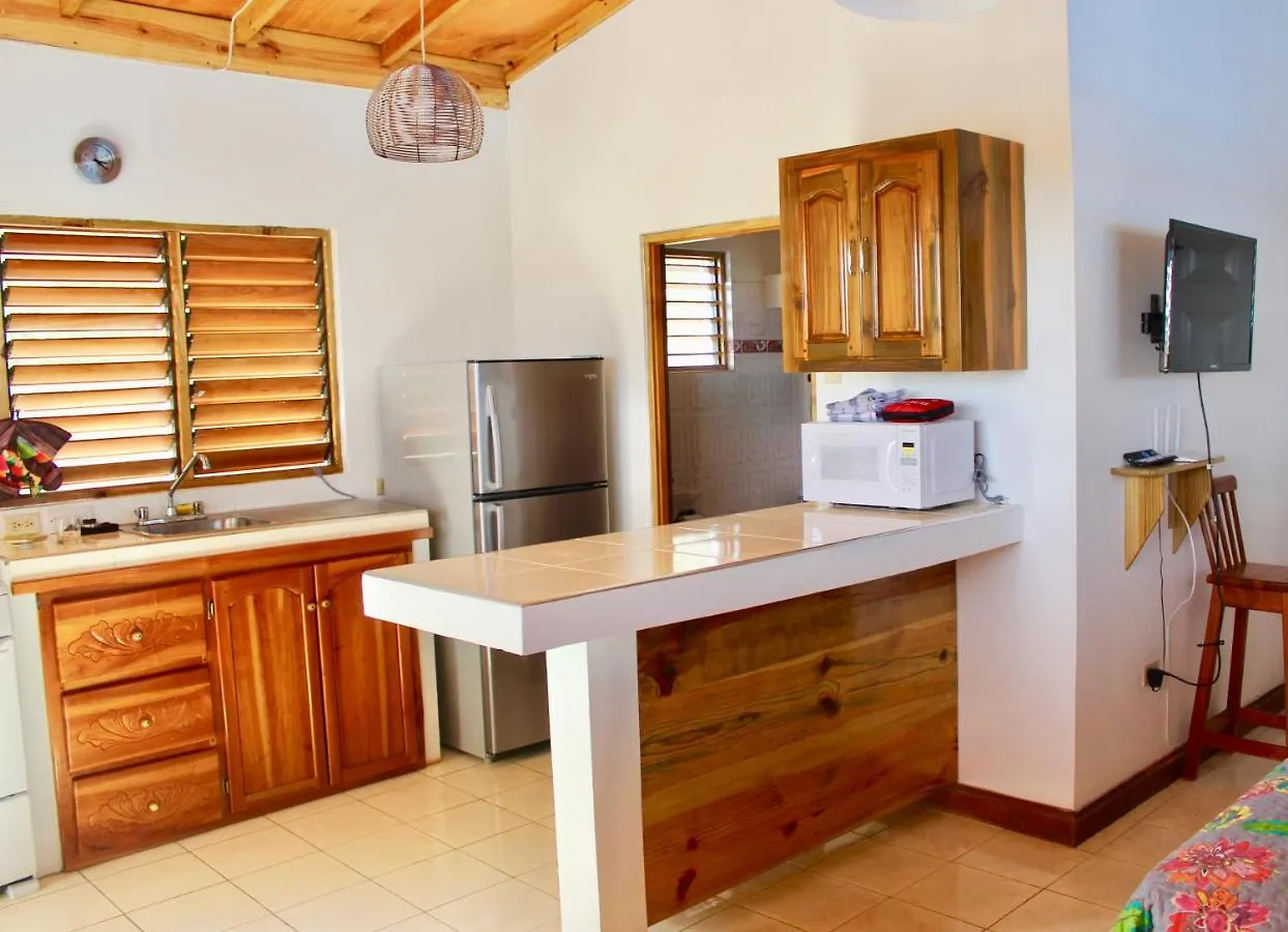 Butterfly Hill Villa & Studio Apartment  Treasure Beach