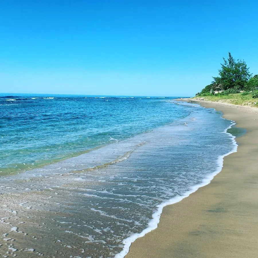 Butterfly Hill Villa & Studio Apartment Treasure Beach