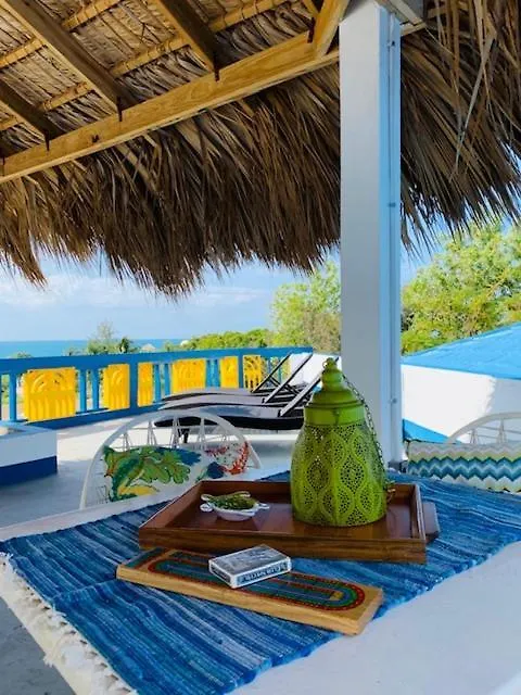 Butterfly Hill Villa & Studio Apartment Treasure Beach
